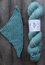 Load image into Gallery viewer, yarn hank and pattern