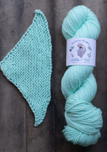 Load image into Gallery viewer, yarn hank and pattern