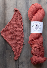 Load image into Gallery viewer, yarn hank and pattern