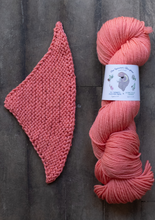 Load image into Gallery viewer, yarn hank and pattern