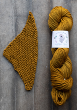 Load image into Gallery viewer, yarn hank and pattern