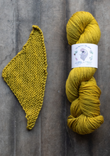 Load image into Gallery viewer, yarn hank and pattern