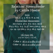 Load image into Gallery viewer, Person wearing a teal sweater with text overlay about product details.
