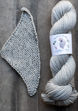 Load image into Gallery viewer, yarn hank and pattern