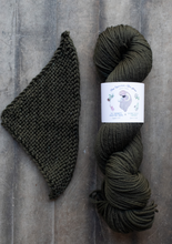 Load image into Gallery viewer, yarn hank and pattern