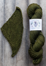 Load image into Gallery viewer, yarn hank and pattern