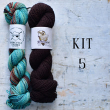 Load image into Gallery viewer, kit 5 yarn hanks