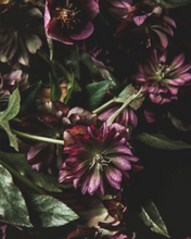 Load image into Gallery viewer, flower pattern