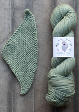Load image into Gallery viewer, yarn hank and pattern