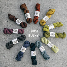 Load image into Gallery viewer, squish bulky yarn hanks