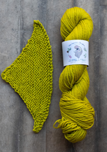 Load image into Gallery viewer, yarn hank and pattern