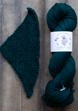 Load image into Gallery viewer, yarn hank and pattern