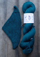 Load image into Gallery viewer, yarn hank and pattern