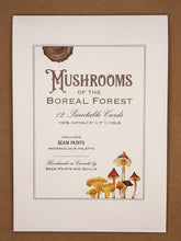 Load image into Gallery viewer, boreal mushroom