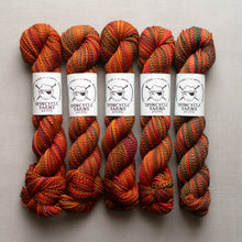 Load image into Gallery viewer, Dyed in the Wool - Spincycle Yarns