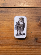 Load image into Gallery viewer, owl