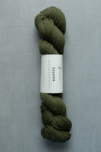Load image into Gallery viewer, light green sayama yarn hank