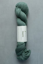 Load image into Gallery viewer, teal sayama yarn hank