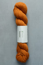 Load image into Gallery viewer, orange sayama yarn hank