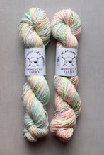 Load image into Gallery viewer, Two skeins of multicolored yarn with labels on a gray background