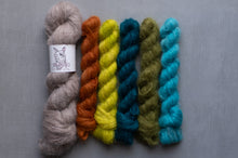 Load image into Gallery viewer, ooh dang! array of yarn hanks