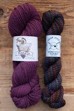 Load image into Gallery viewer, pishkun and spincycle yarns yarn hanks