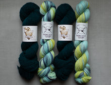 Load image into Gallery viewer, soka'pii and spincyle yarn yarn hanks