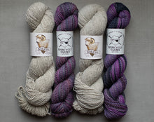 Load image into Gallery viewer, soka'pii and spincyle yarn yarn hanks