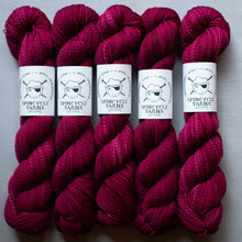 Load image into Gallery viewer, soka'pii and spincyle yarn yarn hanks