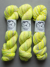 Load image into Gallery viewer, plump spincycle yarns yarn hanks