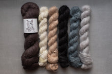 Load image into Gallery viewer, Five skeins of yarn in various colors on a gray background with a brand label.