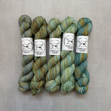 Load image into Gallery viewer, yarn hanks