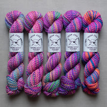 Load image into Gallery viewer, Five skeins of multicolored yarn with Spincycle Yarns labels on a gray background