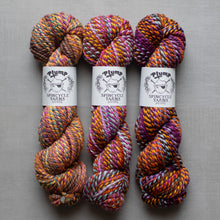 Load image into Gallery viewer, Three skeins of multicolored yarn with 'Plump Spincycle Yarns' labels on a gray background