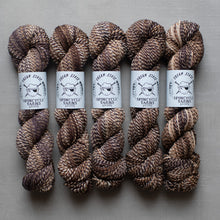 Load image into Gallery viewer, Five skeins of brown yarn with Spincycle Yarns labels on a gray background