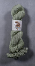 Load image into Gallery viewer, Wholesale Juicy DK Solids