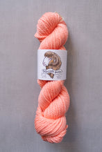 Load image into Gallery viewer, yarn hank