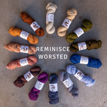 Load image into Gallery viewer, Wholesale Reminisce Worsted - The Farmer&#39;s Daughter Fibers