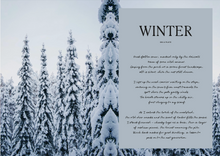 Load image into Gallery viewer, winter on a plate