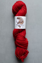 Load image into Gallery viewer, squish bulky red yarn hank