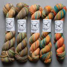 Load image into Gallery viewer, Six skeins of multicolored yarn with Spincycle Yarns labels on a gray background