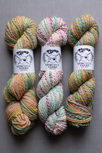 Load image into Gallery viewer, plump yarn hanks from spincycle yarns