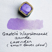 Load image into Gallery viewer, lavender_lilac