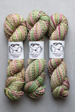 Load image into Gallery viewer, Three skeins of green and pink yarn with Spincycle Yarns labels on a gray background