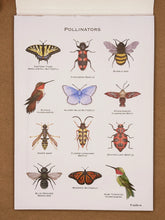 Load image into Gallery viewer, pollinators poster