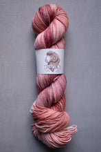 Load image into Gallery viewer, juicy dk walking the steel yarn hank