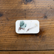 Load image into Gallery viewer, Firefly Notes Tins