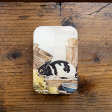 Load image into Gallery viewer, Firefly Notes Tins