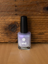 Load image into Gallery viewer, nail polish