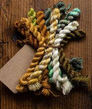 Load image into Gallery viewer, Hand Dyed Embroidery Thread